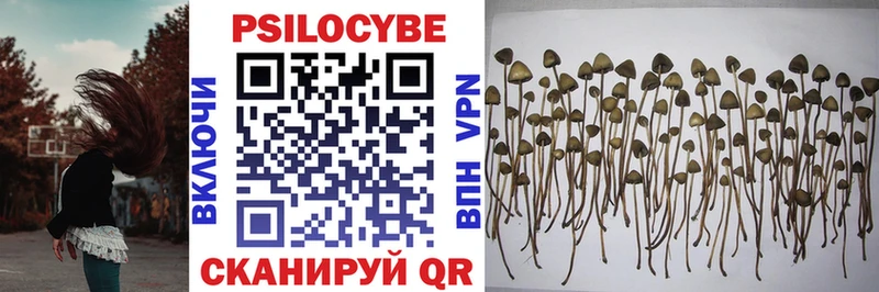 Псилоцибиновые грибы Magic Shrooms  это состав  Тавда 